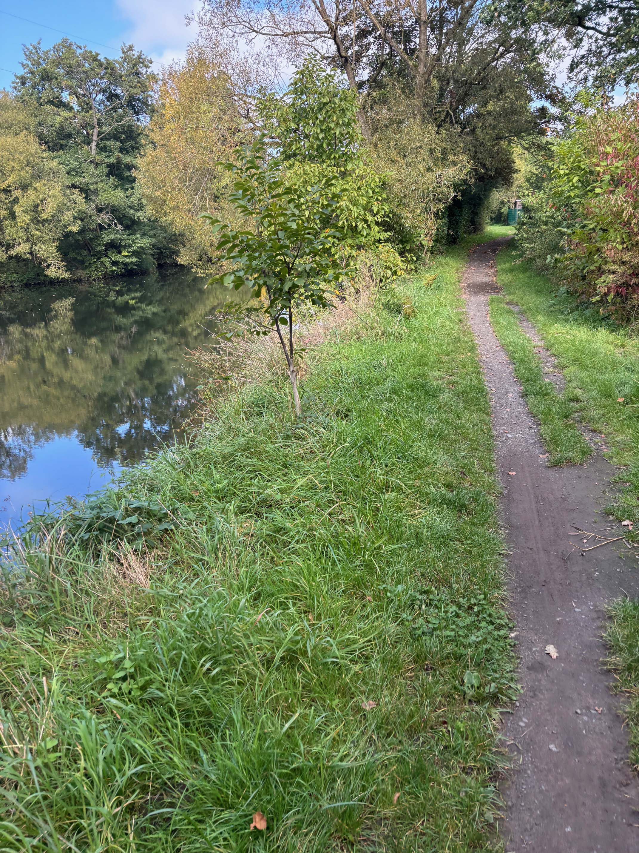 Überraschungstour der Mountainbike Ladies von Homberg bis Braunfels und zurück